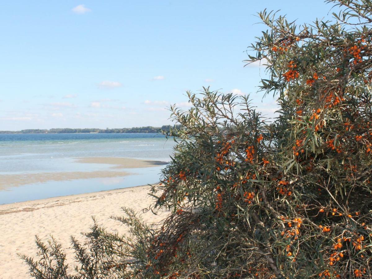 Апартаменты Bright In The Baltic Seaside